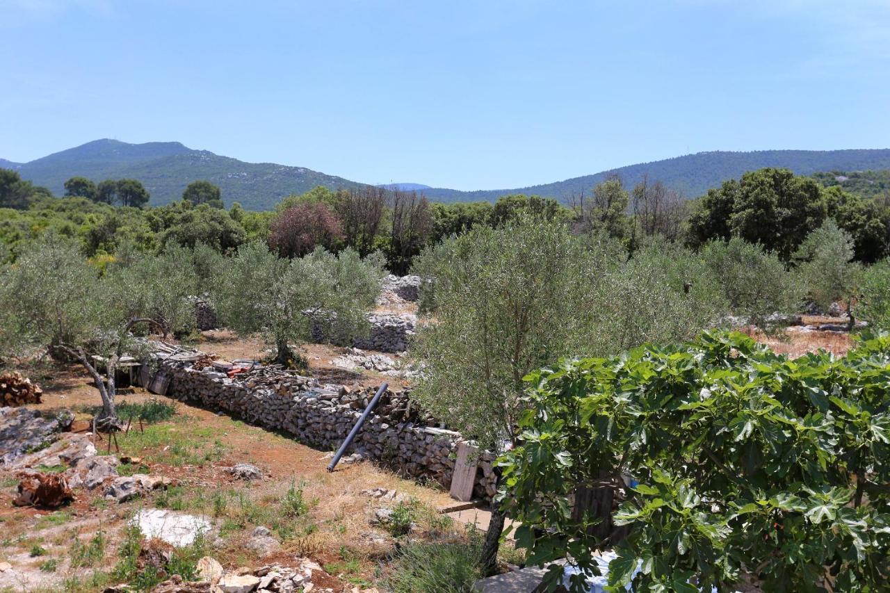 Apartments By The Sea Drace, Peljesac - 10127 Kültér fotó